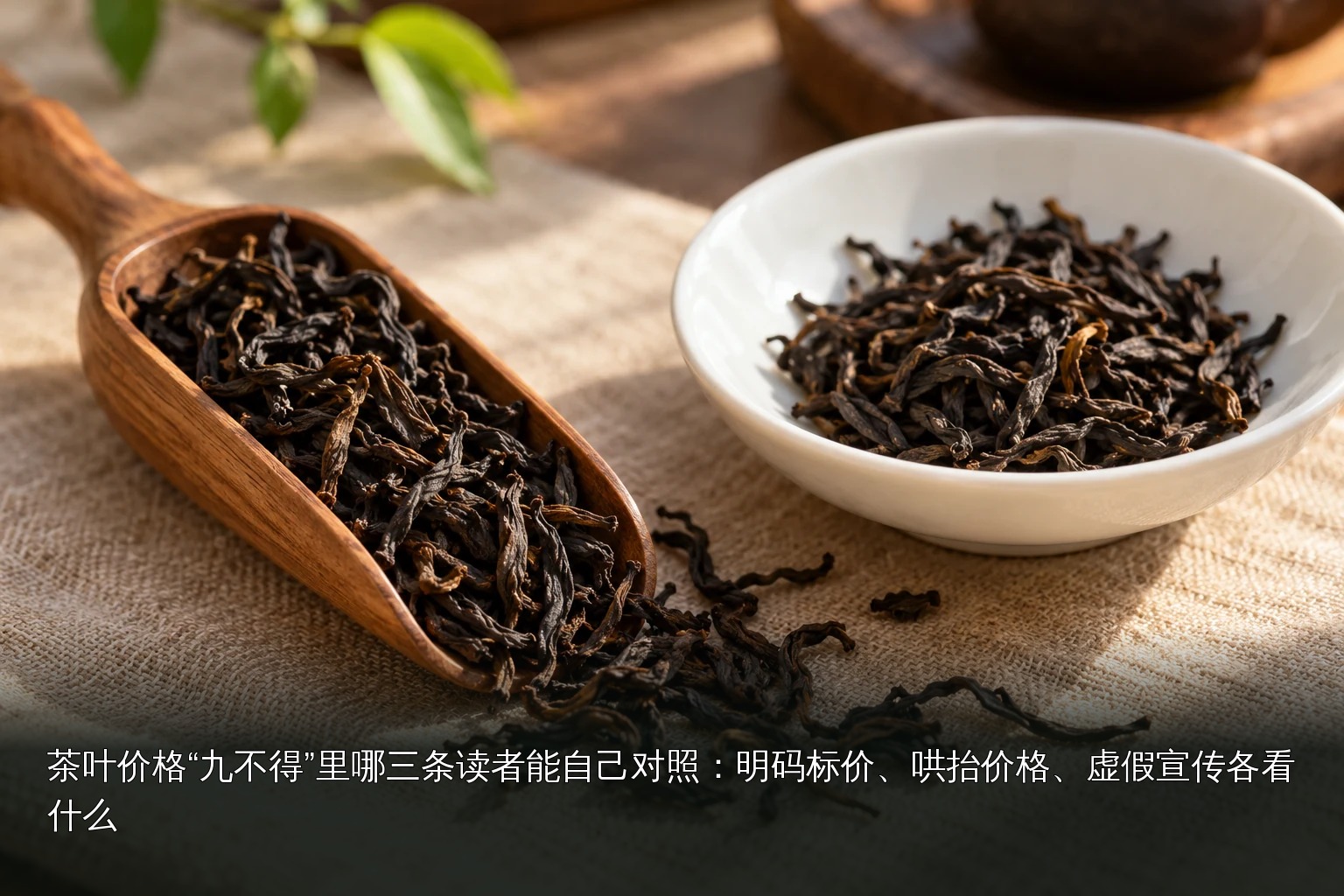 主题配图|条索状干茶